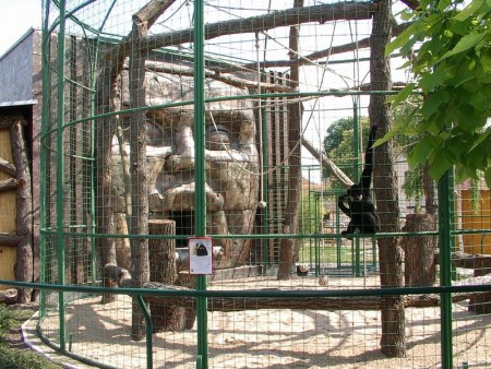 zoo-chleby-zoo-plna-zazitku